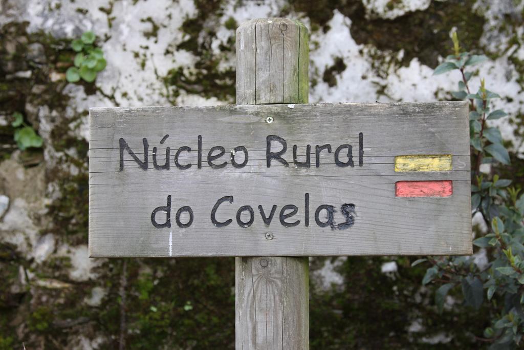 Alojamento Rural De Covelas Covelas  Екстериор снимка